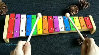 Happy Brithday Xylophone 15 Keys Fullcolors cover by QuynhLemo