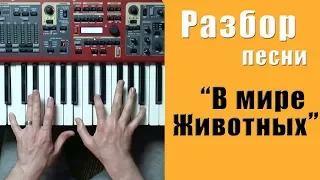 В мире животных - разбор на пианино | кавер - Уроки фортепиано