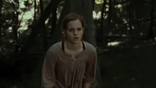 Hermione And Harry Fight - Harry Potter And The Deathly Hallows Part 1