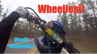How I wheelie my Yamaha WR250X!