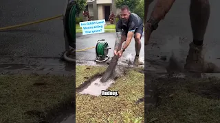 These GIANT Lawn Worms will give you nightmares. With @theunblockersaus