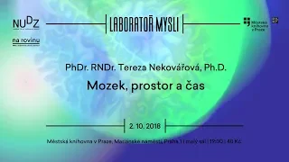 Tereza Nekovářová - Mozek, prostor a čas  (ÚMKP, NUDZ 2.10.2018)