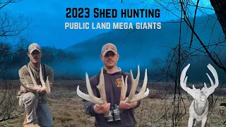 2023 Shed hunting Public Land - 42 antlers