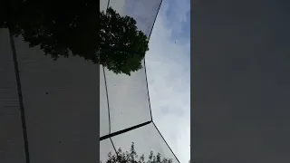 Trampolin sprin ist cool