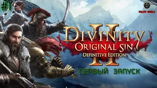 Divinity: Original Sin 2 | Первый запуск | Стрим #1