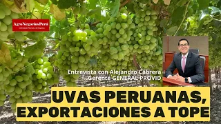 Alta productividad de uvas patentadas apuntalan al Perú como exportador mundial