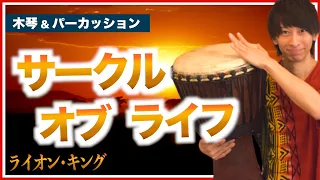 【ライオンキング】「サークルオブライフ」18パートを一人で演奏してみた