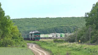 Power and beauty: a powerful green giant diesel locomotive among green fields and forests