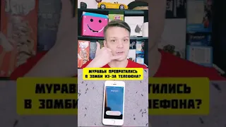 Почему муравьи ТАК себя ведут рядом с iPhone?