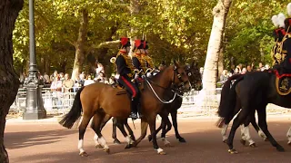 State Visit by The King and Queen of The Netherlands