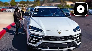 Picking up Uber Riders in my Lamborghini Urus! **crazy reactions**