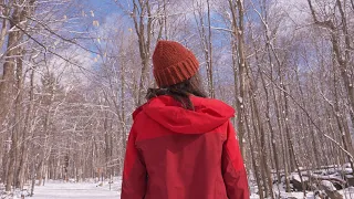 La Réserve naturelle Gault : au service de la biodiversité et de la communauté