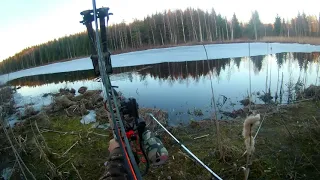 Majavan metsästystä jousella/Beaver hunting