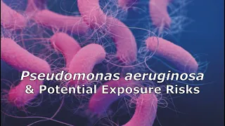 Pseudomonas aeruginosa and Potential Exposure Risks