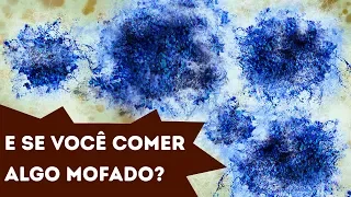 E Se, Acidentalmente, Você Comer Algo Mofado?