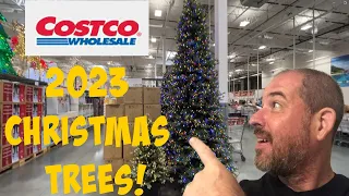 2023 Costco Christmas Trees!