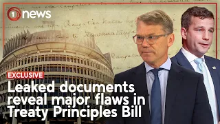 Government warned proposed bill at odds with the Treaty of Waitangi | 1News Exclusive