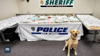 Rookie K9 Helps Bust Massive $10M Cartel Operation with Washington Task Force