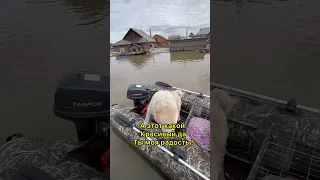 Встретили такого красавца😢🙏❤️