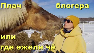 "Плач блоггера" или где нас найти, если вдруг...