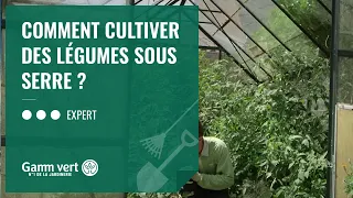 [TUTO] Comment cultiver des légumes sous serre ? - Jardinerie Gamm vert