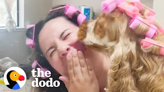 Dog With Luscious Locks Has Had Every Hairstyle | The Dodo