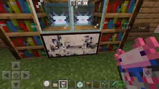 Декор в Minecraft/Хищник икс