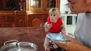 Monkey Icy like to help mum cooking food