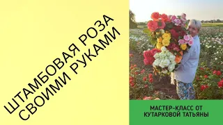 ШТАМБОВАЯ РОЗА СВОИМИ РУКАМИ. ОКУЛИРОВКА ШТАМБОВЫХ РОЗ. ПРИВИВКА РОЗ.