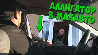 АЛЛИГАТОР В МАКАВТО! / Пранк