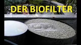 Alles rund um Biofilter | Verweildauer, Filtermedien, Nitrifikation, AOB, NOB
