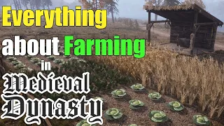 Basic Farming Tips in Medieval Dynasty