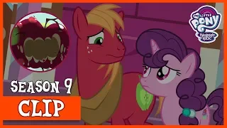 Big Mac and Sugar Belle's Proposal Plans Get Ruined (The Big Mac Question) | MLP: FiM [HD]