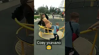 Сову немного укачало😅