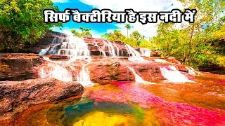 दुनिया की 10 सबसे खतरनाक नदियां - Top 10 Most Dangerous Rivers of the World - Research Ki Dunia