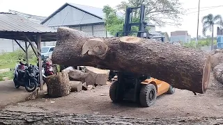 Proses Menggergaji Kayu Besar Melengkung