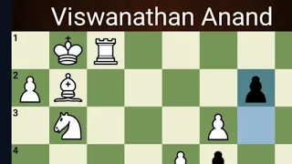 Magnus stuns Anand with two queens. World Championship Match 2013