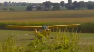 Antique Airplane - grass field landing ...!