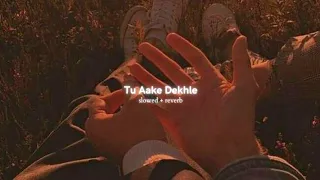 Tu Aake Dekhle - King (slowed+reverb)