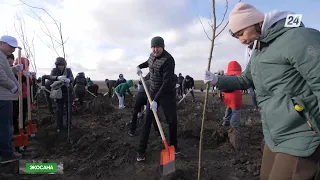 Көгалдандыру міндетін атқару керек | Экосана