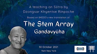 The Stem Array (Gandavyuha), 30 October 2021, Online - Part 2