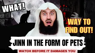 Can JINN be In The Form Of Cat | Mufti Menk