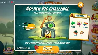 Angry Birds 2 Fun Momments in Golden Pig Challenge with Silver's Boyfriend: Hal!