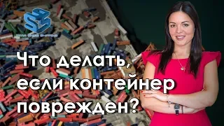 Что делать, если контейнер получил повреждение. Анна Козырева. Starshine Logistics School 0+