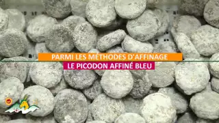 Entre chèvre et passion, le Picodon