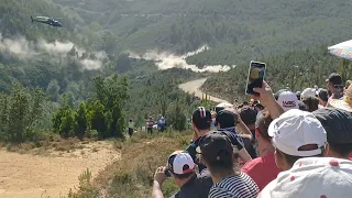 Adrien Fourmaux  / Alex Coria  - Ford Puma Rally 1 Hybrid  - Arganil - Rally de Portugal  2024