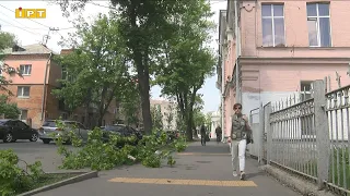 Пориви вітру спричинили аварійне відключення світла у п’ятьох громадах Полтавщини