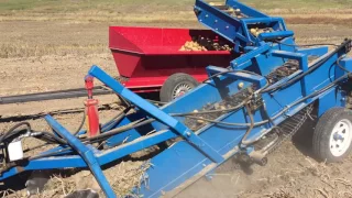 US Small Farm one row potato digger with Collection Wagon