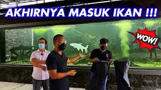 #61- EVAKUASI IKAN PREDATOR TERBUAS - MEGATANK 100TON