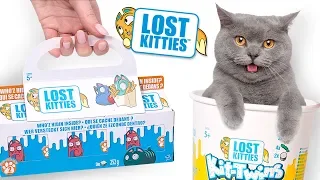 Lost Kitties Serien - Auspack-Session | Itty Bitty, Kit-Twins und Single